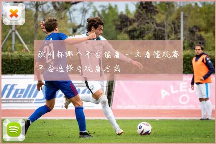 欧洲杯哪个平台能看 一文看懂观赛平台选择与观看方式
