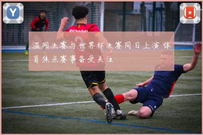 温网决赛与世界杯决赛同日上演 体育焦点赛事备受关注