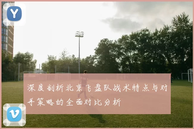 深度剖析北京飞盘队战术特点与对手策略的全面对比分析