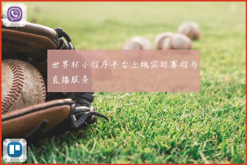 世界杯小程序平台上线实时赛程与直播服务