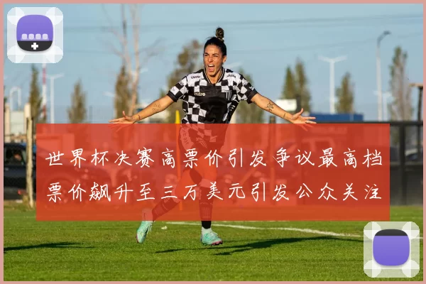 世界杯决赛高票价引发争议最高档票价飙升至三万美元引发公众关注