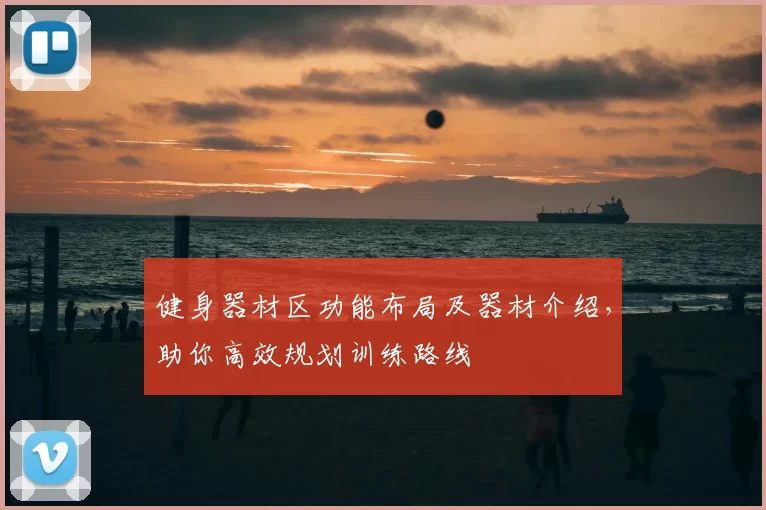 健身器材区功能布局及器材介绍，助你高效规划训练路线