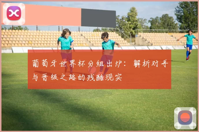 葡萄牙世界杯分组出炉：解析对手与晋级之路的残酷现实