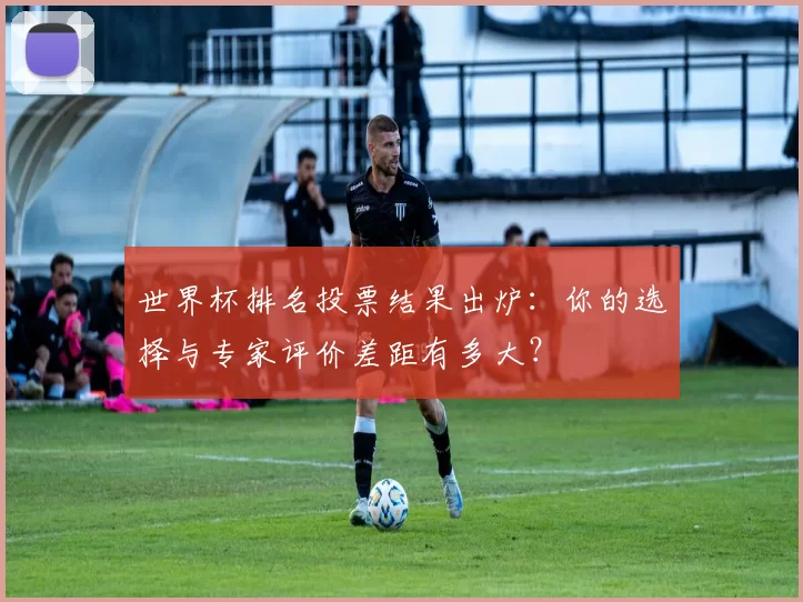 世界杯排名投票结果出炉:你的选择与专家评价差距有多大?