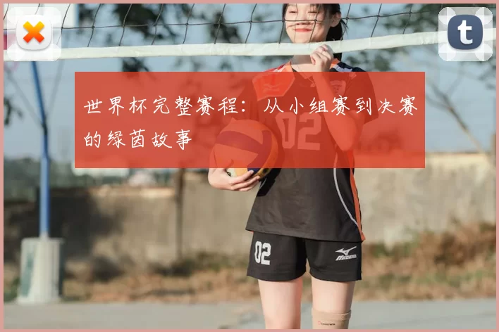 世界杯完整赛程：从小组赛到决赛的绿茵故事
