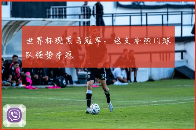 世界杯现黑马冠军,这支非热门球队强势夺冠