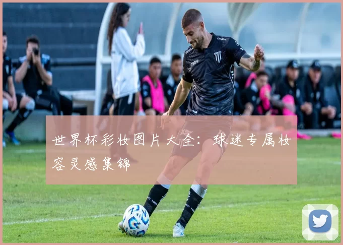 世界杯彩妆图片大全:球迷专属妆容灵感集锦