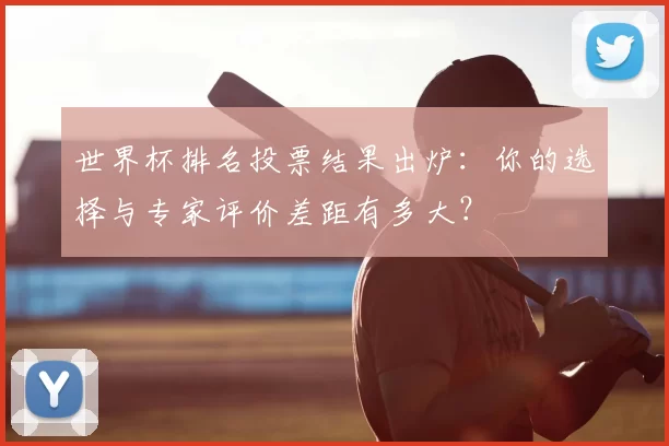 世界杯排名投票结果出炉：你的选择与专家评价差距有多大？