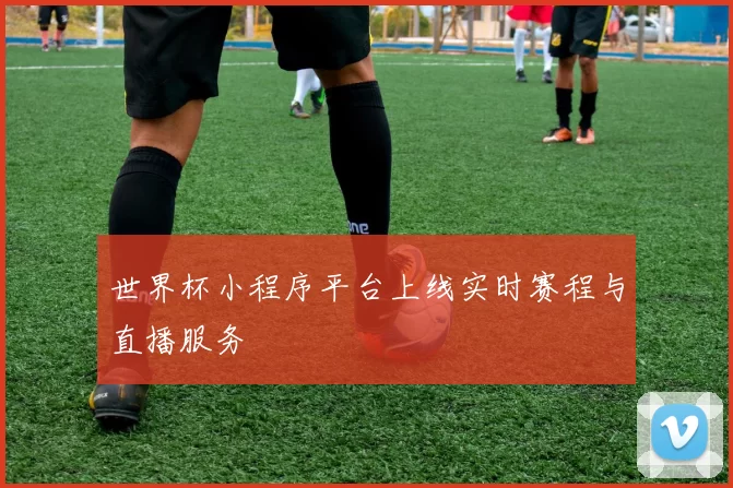 世界杯小程序平台上线实时赛程与直播服务
