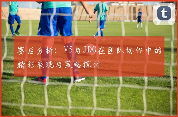 赛后分析：V5与JDG在团队协作中的精彩表现与策略探讨